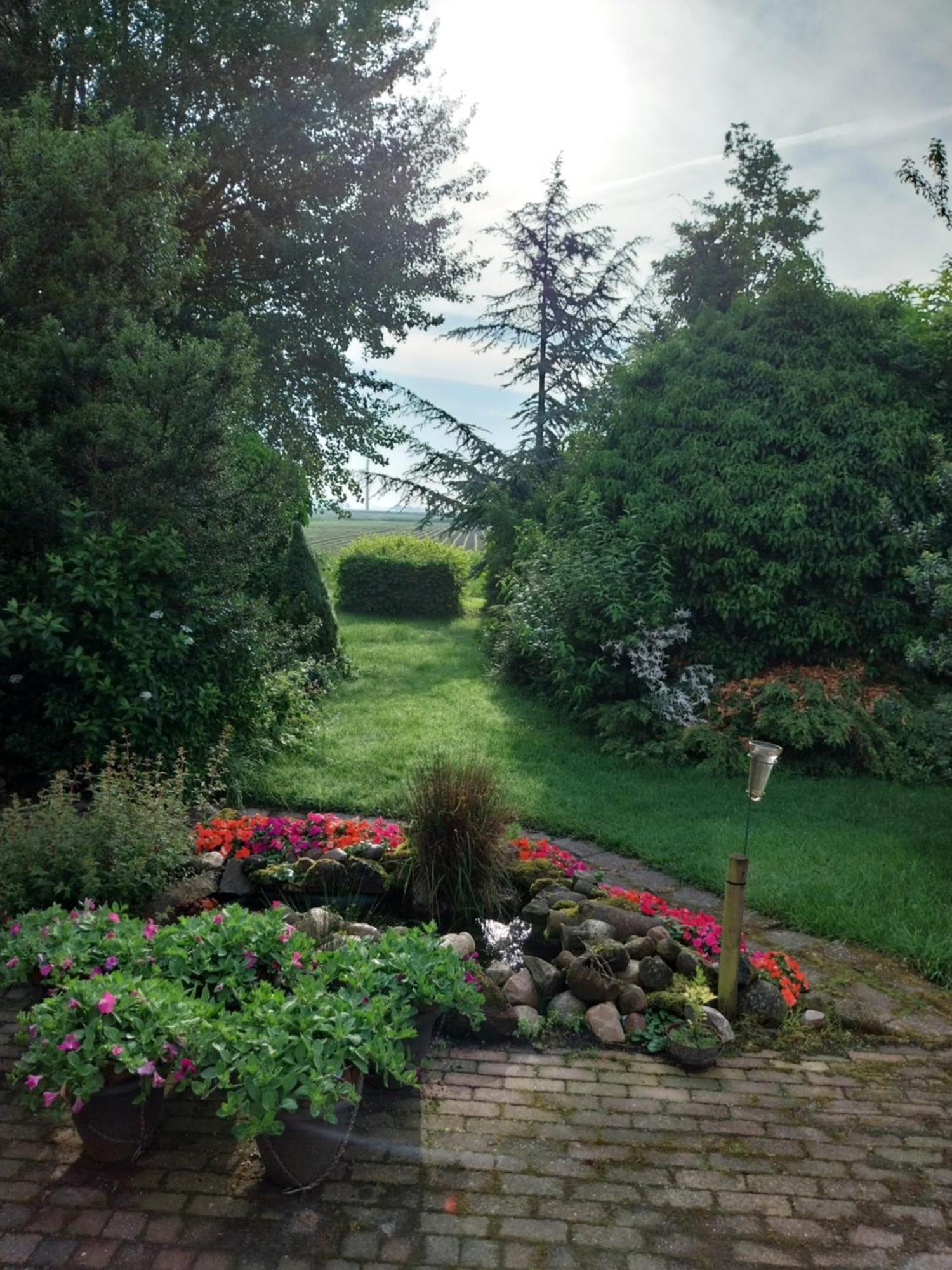 Villa Wad Fijn Sexbierum Esterno foto