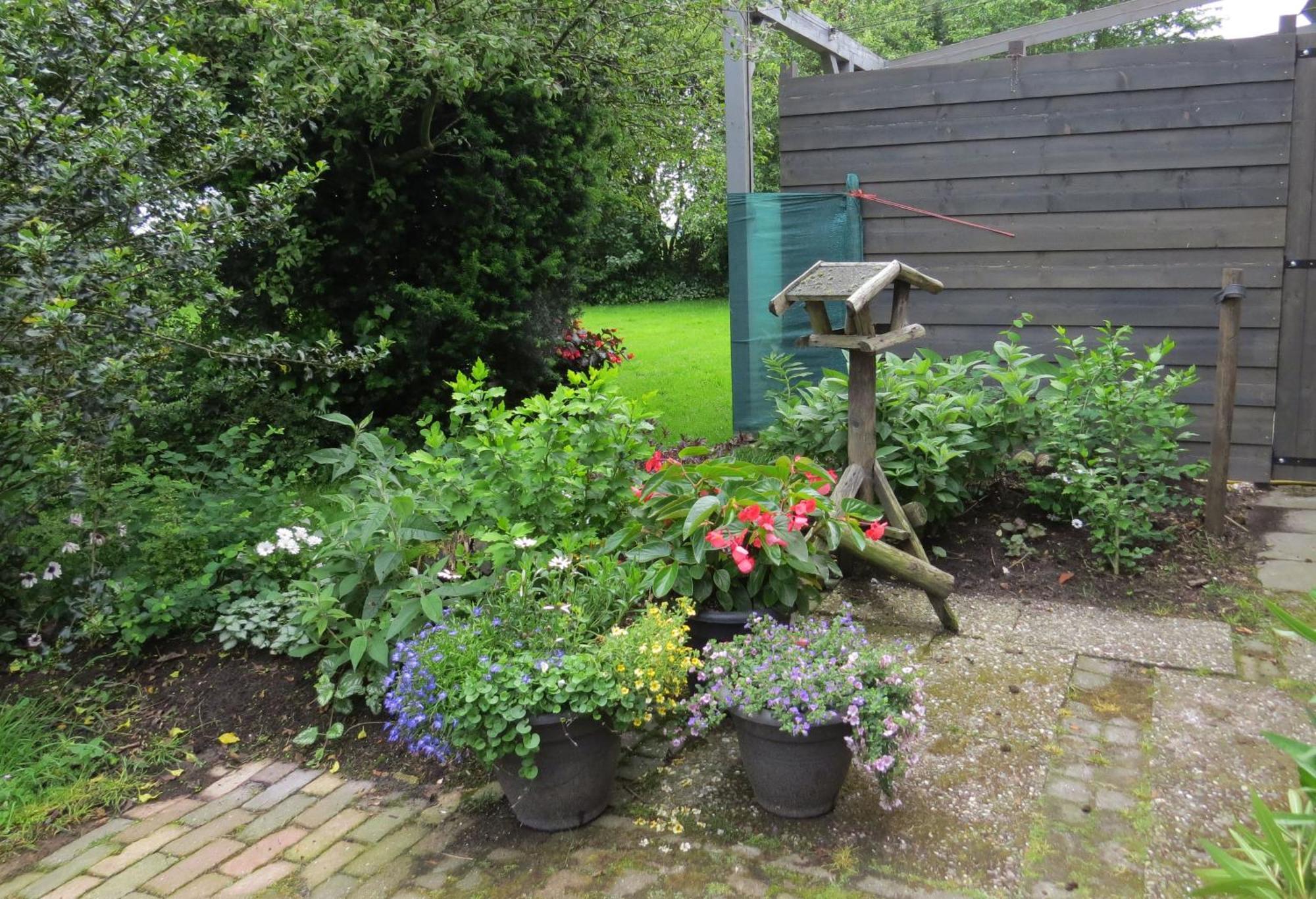 Villa Wad Fijn Sexbierum Esterno foto