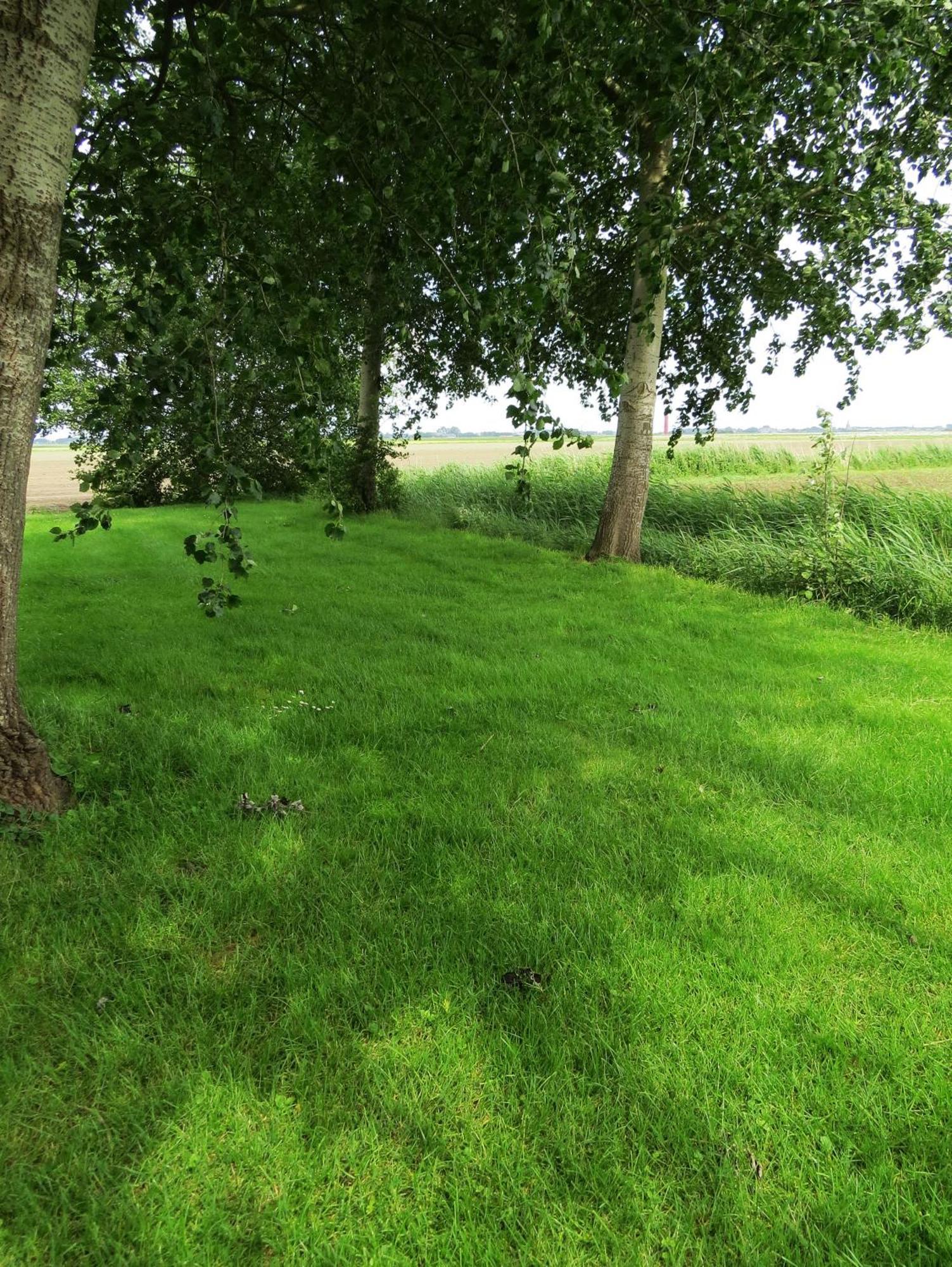 Villa Wad Fijn Sexbierum Esterno foto