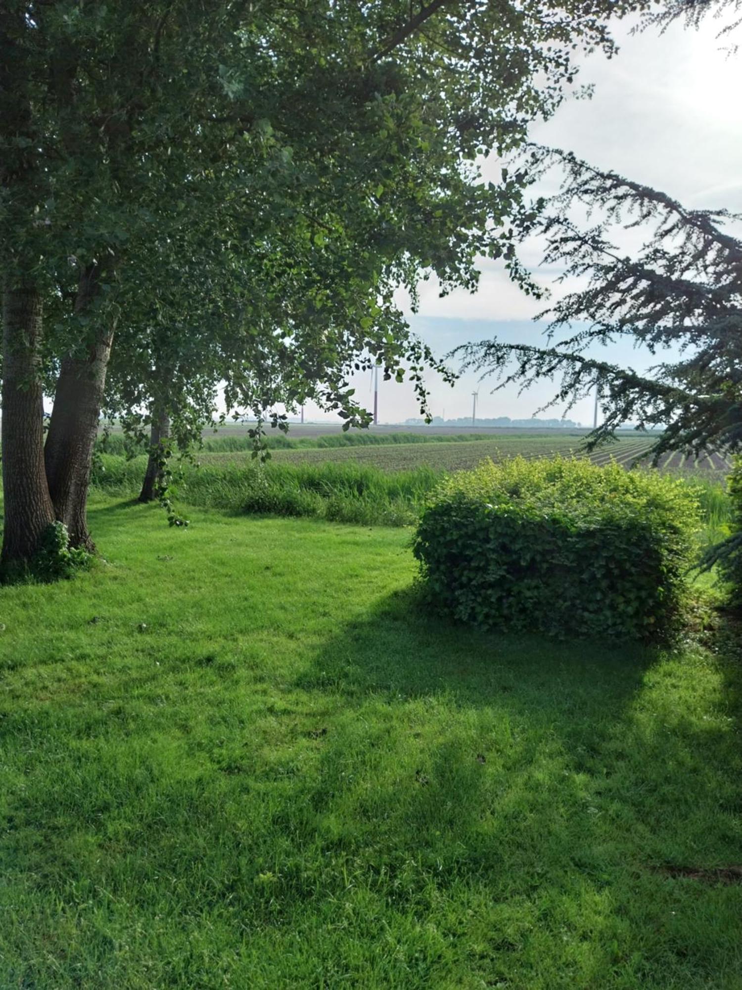 Villa Wad Fijn Sexbierum Esterno foto