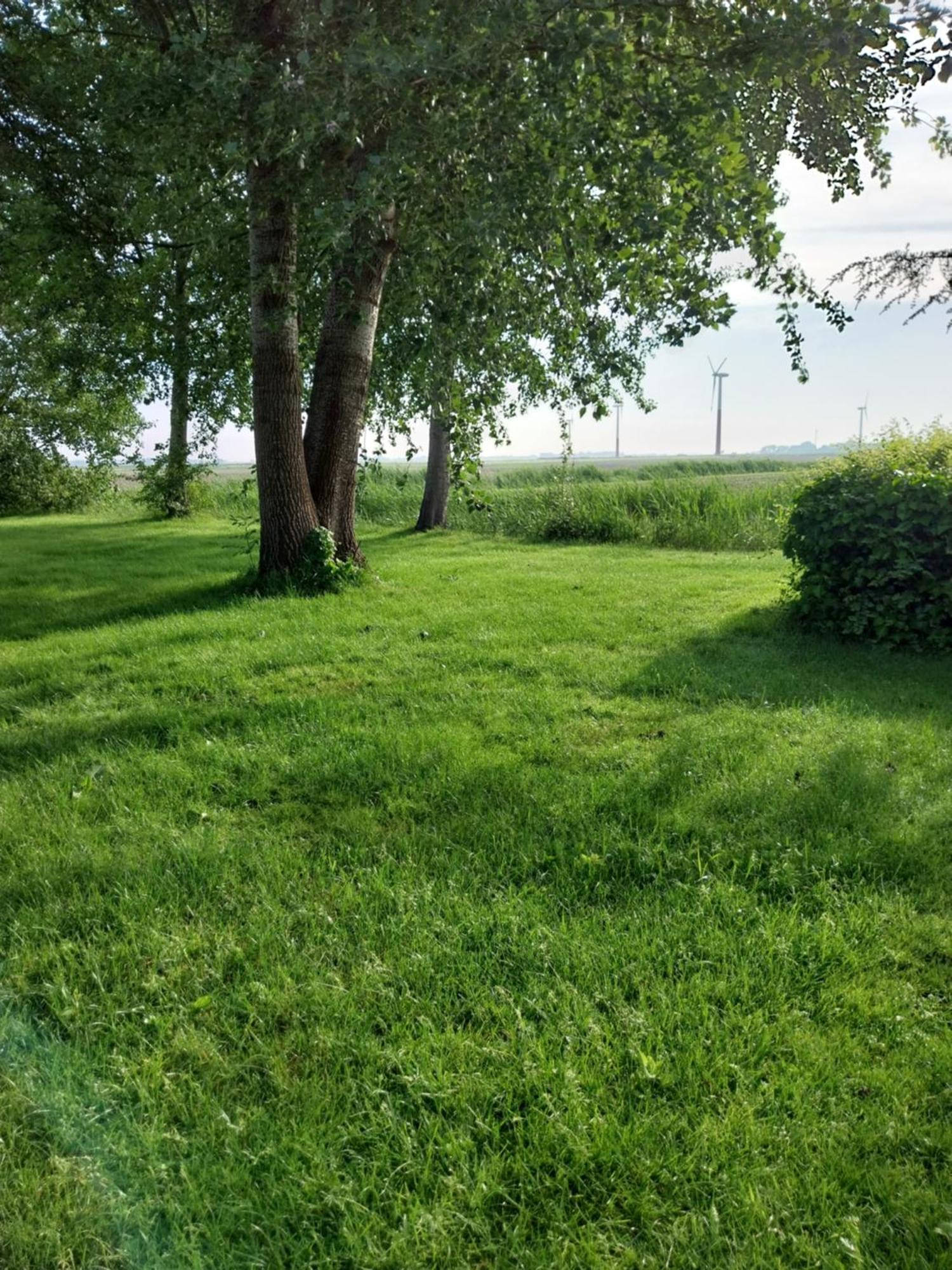 Villa Wad Fijn Sexbierum Esterno foto