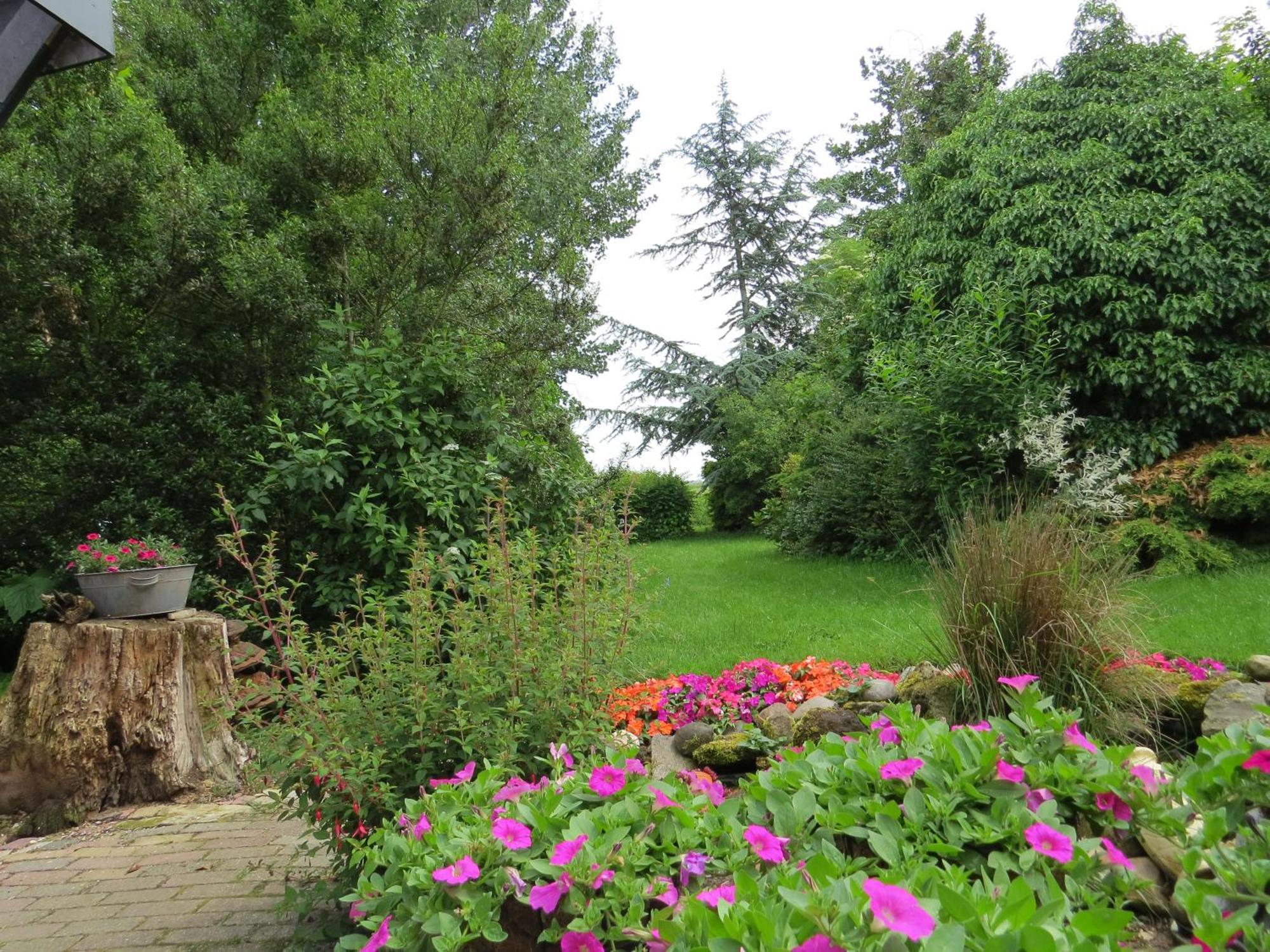 Villa Wad Fijn Sexbierum Esterno foto